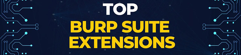 Extension های مختلف burp suite