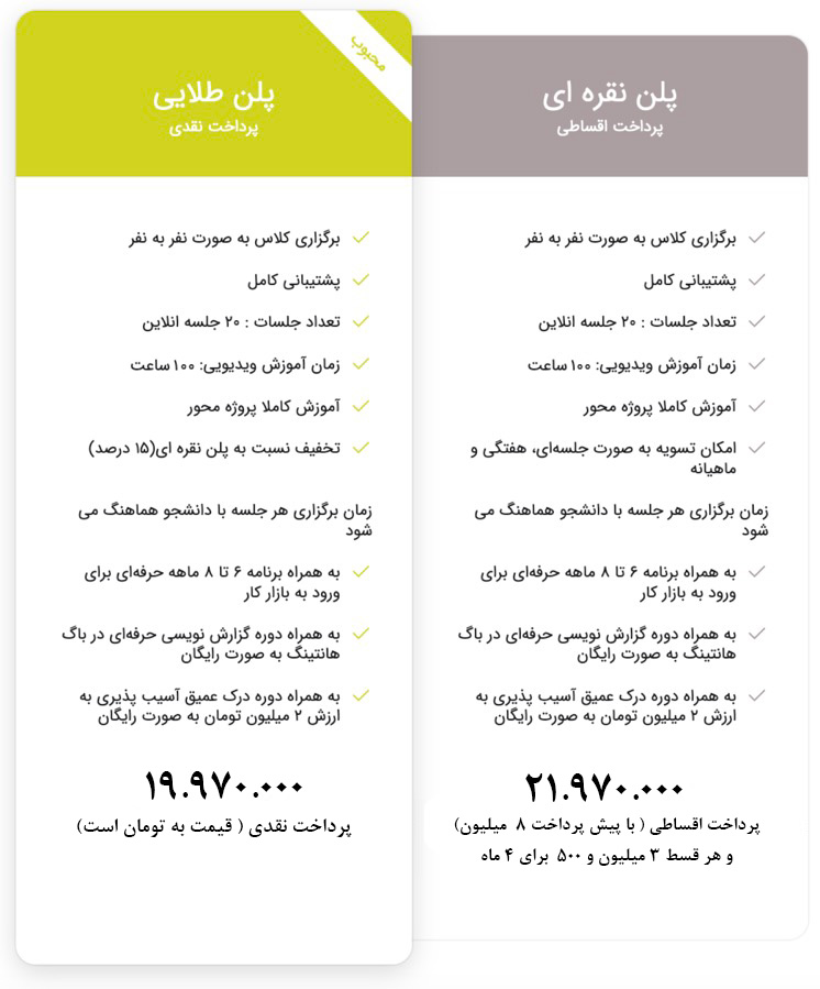 دوره منتورینگ بهروز منصوری