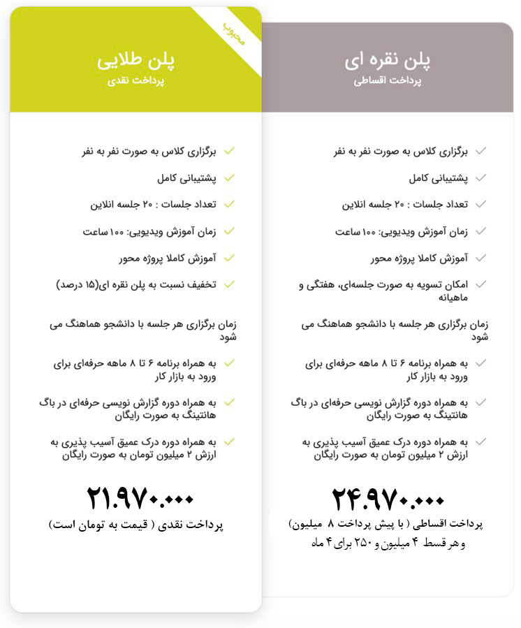 دوره منتورینگ بهروز منصوری